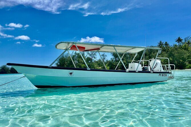 Private Whale Watching Adventure in Mo'orea - Who should book this whale swim on Mo’orea?