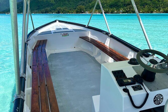 Private Whale Watching Adventure in Mo'orea - What made it feel special in real life