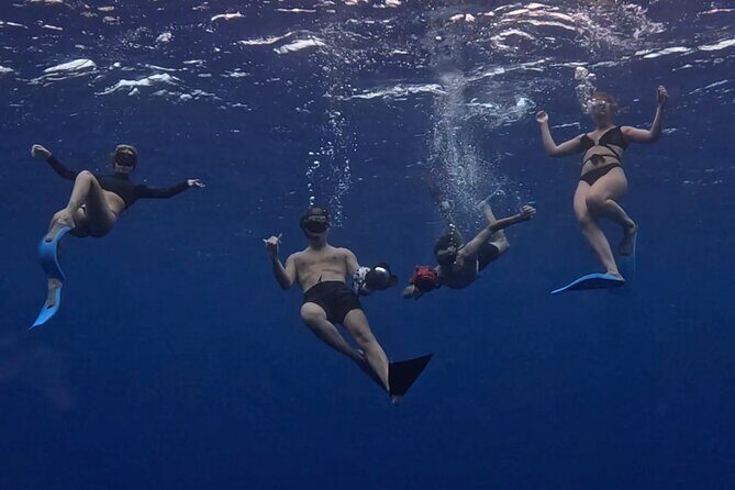 Private Whale Watching Adventure in Mo'orea - The safety rules that protect the whales and you