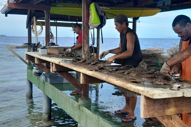 Raiatea-Beautiful Black Pearl of Tahiti and the Vanilla of Tahaa - Price and logistics: does $129.45 feel fair?