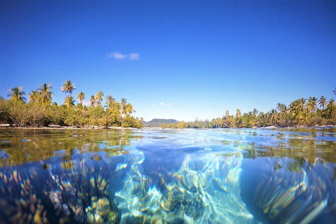 Raiatea-Tahaa Snorkeling in our beautiful Coral Garden - The short relax break: soft drinks, tropical fruit, and breathing room