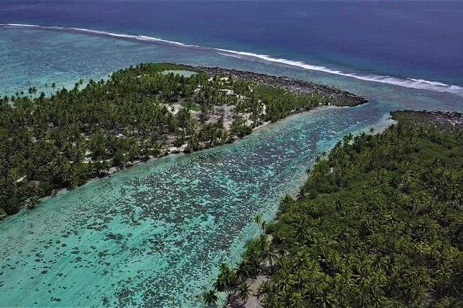 Raiatea-Tahaa Snorkeling in our beautiful Coral Garden - Pearl farm stop in Tahaa: the best “extra” since Aug 1, 2024
