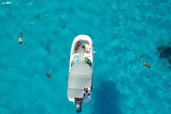 Reef Discovery Half Day Group Signature Tour - Key things that make this tour worth your time