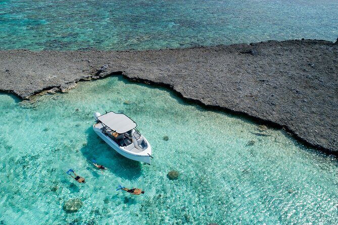 Reef Discovery Luxury Private Snorkeling Lagoon Tour - Pickup in Bora Bora: the simple way to start and finish