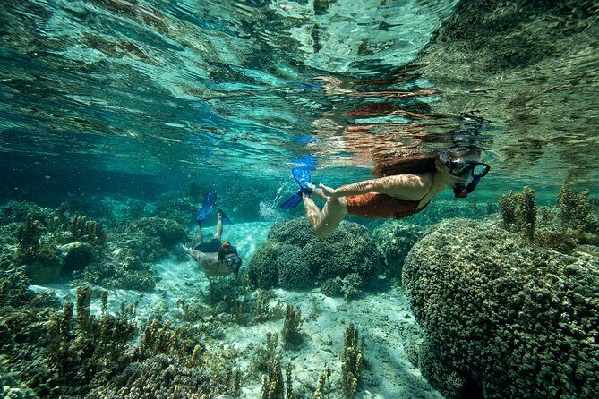 Reef Discovery Luxury Private Snorkeling Lagoon Tour - Price and value: is $941.51 “worth it”?