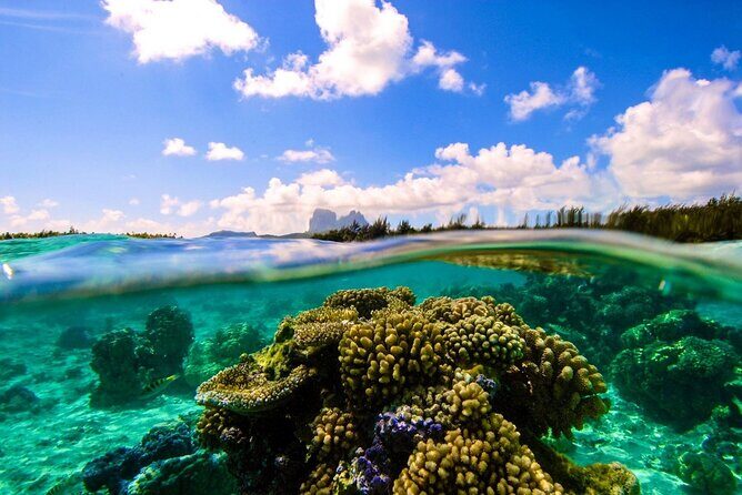 Reef Discovery Private Full Day Lagoon Tour & Water Lunch - Price and value: why $1,883.06 can still make sense for two