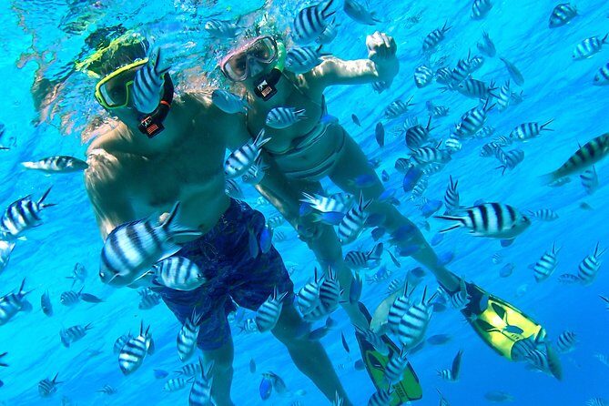 Reef Discovery Private Half Day Lagoon Tour - Why a Private Half-Day Lagoon Boat Feels Different in Bora Bora