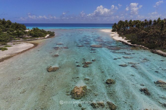 REEF ISLAND | private island | pink sand | natural swimming pools - Afternoon wildlife and aquarium snorkeling near Tiputa Pass