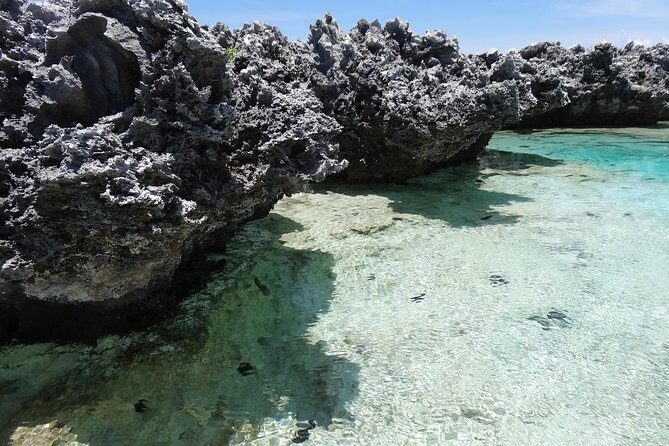 REEF ISLAND | private island | pink sand | natural swimming pools - Who should book this tour (and who should choose carefully)