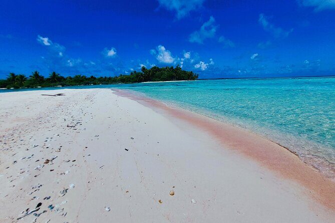 REEF ISLAND | private island | pink sand | natural swimming pools - Reef Island on your schedule: coral garden snorkeling and ocean-side pools