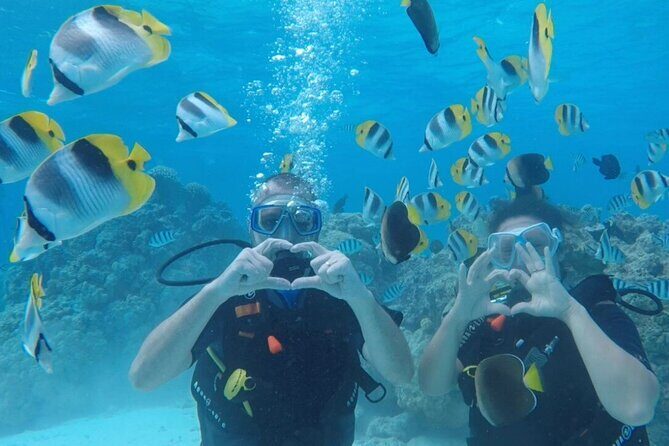 Romantic Dive for beginners in Bora Bora (2 people) with Video - Key Highlights You’ll Actually Care About