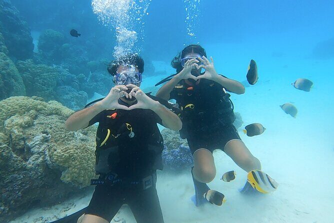 Romantic Dive for beginners in Bora Bora (2 people) with Video - Bora Bora’s Romantic Beginner Scuba Session: The Big Idea