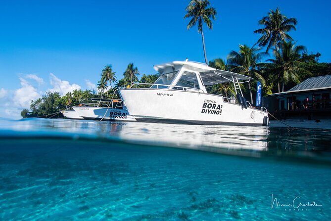 Romantic Dive for beginners in Bora Bora (2 people) with Video - Weather and Timing: The Two Things That Can Change Your Day
