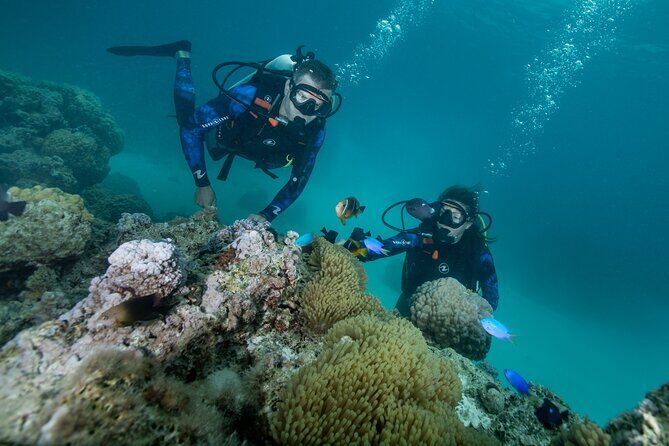 Romantic dive in the lagoon of Bora Bora. Private instructor on a shared boat - Bora Bora romance, built around one unforgettable underwater moment