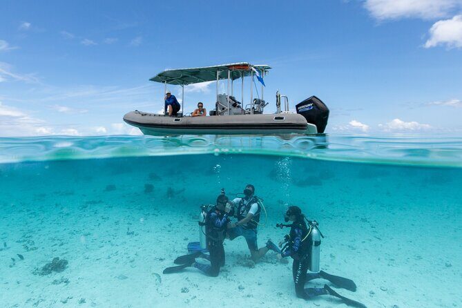 Romantic dive in the lagoon of Bora Bora. Private instructor on a shared boat - Private instructor on a shared boat: the best of both worlds