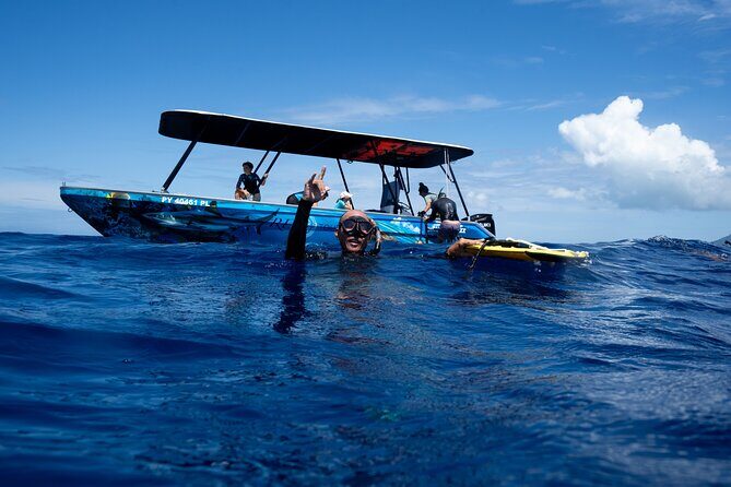 Sacred Experience Swimming with a Whale in Moorea - Why This Whale Swim Feels Different in Moorea