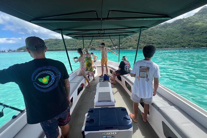 Sacred Experience Swimming with a Whale in Moorea - How Much Value Is $157.90 Really Paying For?
