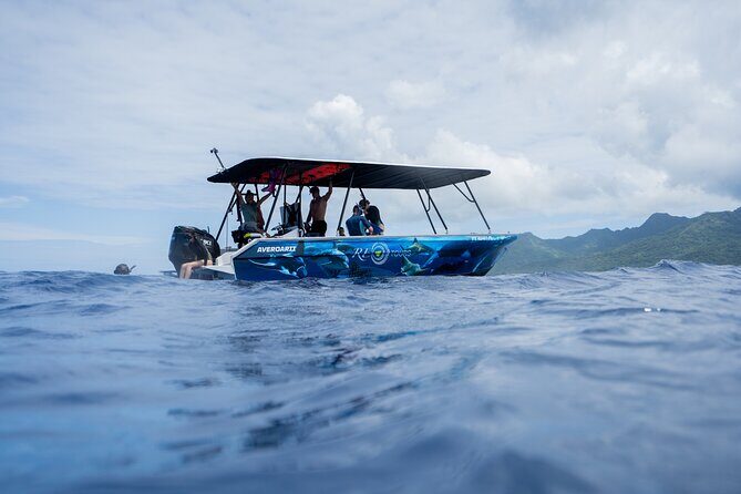 Sacred Experience Swimming with a Whale in Moorea - Who Should Book This Whale Swim, and Who Might Skip
