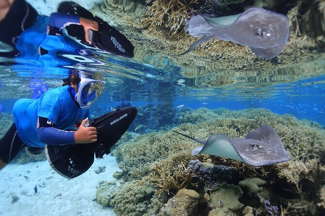 Sea Scooter Jet Snorkeling "Moorea Dream Adventure" - Safety Briefing and Scooter Training: Where Comfort Gets Built