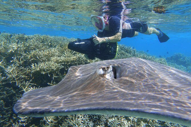 Sea Scooter Jet Snorkeling "Moorea Dream Adventure" - Gear Notes That Matter: Wetsuits, Masks, and the Photo Reality