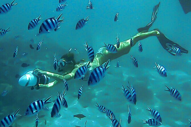 Sea Scooter Snorkel Tour - Lagoon Discovery : Wrecks, Coral Gardens and Tropical Fishies - Key Takeaways Before You Go