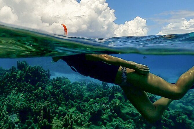 Sea Scooter Snorkel Tour - Lagoon Discovery : Wrecks, Coral Gardens and Tropical Fishies - Wildlife Highlights: Turtle Moments, Rays, and Seasonal Whale Possibilities