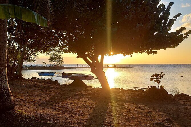 Shared 4.5h Circle Island Tour of Tahiti Nui by Lydia - Stop 3: Water Gardens of Vaipahi and the Teva Clan Story