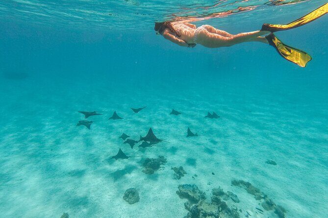 SHARED FULL DAY CULTURAL & LAGOON TOUR - Bora Bora Cultural Lagoon Tour - What the 9 a.m. to 3 p.m. Bora Bora Cultural Lagoon day is really like