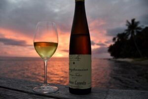 Shared - Introduction to wine - Bora Bora Wine Tastings - The 2-hour flow: what the experience looks like when it starts