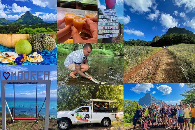 Shared Transfer: Hotel or Cruise Port to Tahiti Airport - Where pickup is included—and where it gets tricky (Mahana, Vanira, Airbnb)