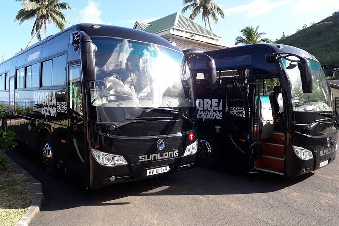 Shared Transfer : Moorea Airport (or) Pier to Hotel - Moorea Airport or Ferry Pier: The Real Reason This Works