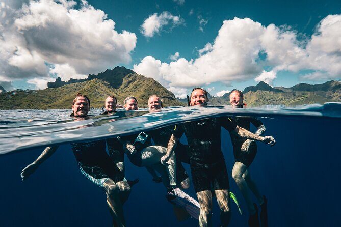 Shared Whale Expedition - Onboard Comfort and What the 4-Hour Schedule Feels Like