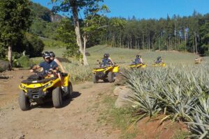 Small Combo 2h30 Quad + 1h Jetski - Morning Quad Biking: Pineapple Fields, Cook Bay Views, and Real Island Roads