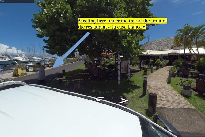 Small group snorkeling (5 people max): Turtles at 7:30am - Meeting at Marina Taina: Start Smooth, Not Stressful