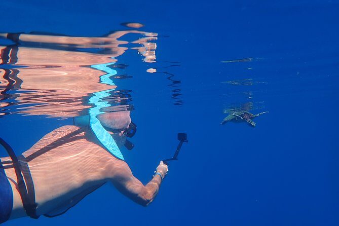 Small group snorkeling (5 people max): Turtles at 7:30am - Gear and Photo Gift: The Two Extras That Change the Value