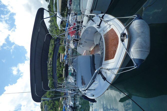 Small group snorkeling (5 people max): Turtles at 7:30am - Comfort and What to Bring for a Calm 7:30am