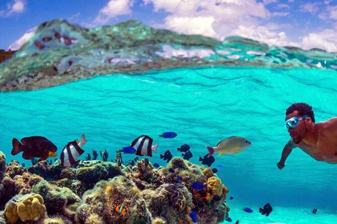 Small group snorkeling (5 people max): wrecks & tropical fishes at 10:30am - Coral garden time: why the route matters
