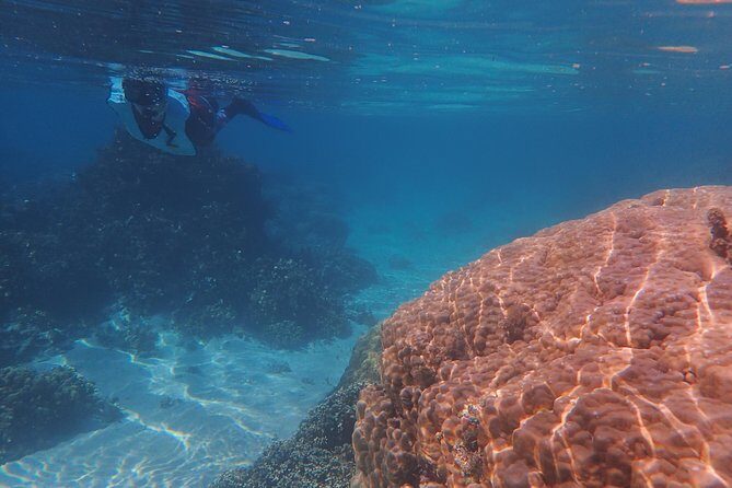 Small group snorkeling (5 people max): wrecks & tropical fishes at 10:30am - Weather reality: plan for sun, rain, wind