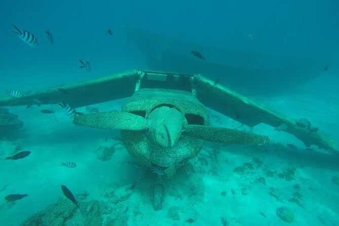 Small group snorkeling (5 people max): wrecks & tropical fishes at 10:30am - Who this tour suits best (and who should think twice)