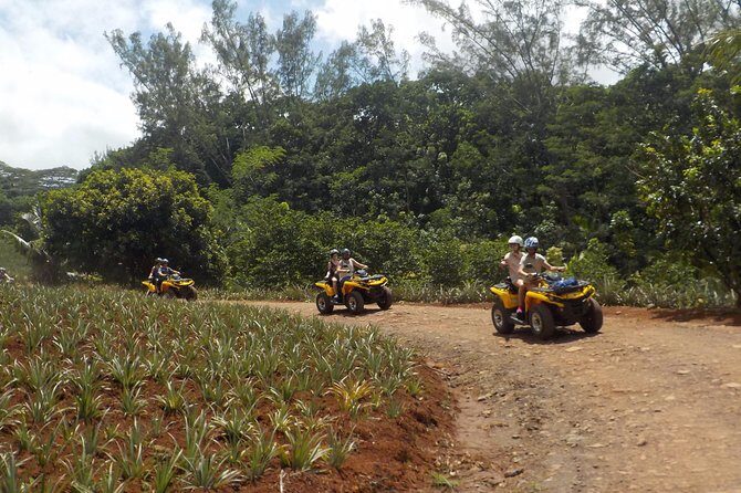 Small Quad Tour 2h30 Quad excursion in Moorea (single or two-seater) - Key highlights you’ll feel on the ride