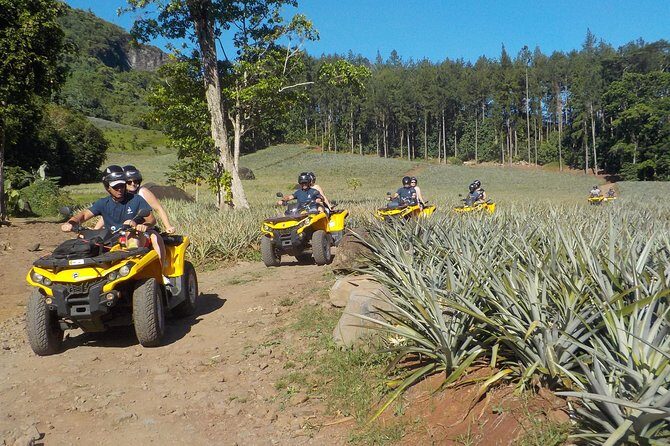 Small Quad Tour 2h30 Quad excursion in Moorea (single or two-seater) - How a small quad group changes everything