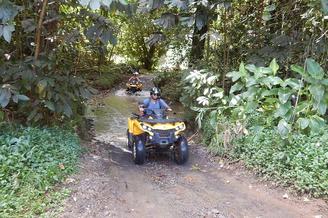 Small Quad Tour 2h30 Quad excursion in Moorea (single or two-seater) - Fare Tutava: the second tasting and why it matters