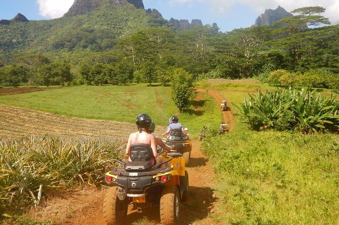Small Quad Tour 2h30 Quad excursion in Moorea (single or two-seater) - Time, pacing, and how it fits your Moorea day