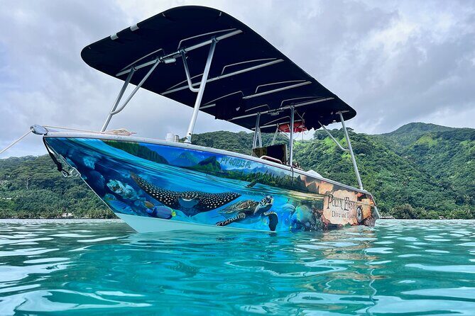 Snorkeling EN Small Group Tour in Tahiti - Why this Tahiti snorkel feels different (small group, not assembly line)