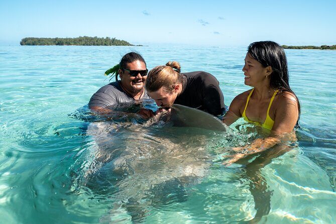 Snorkeling excursion and encounter with marine fauna in Moorea - Small Group Size and Your Odds of Seeing More Than Fish