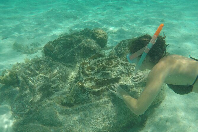 Snorkeling excursion and encounter with marine fauna in Moorea - Guides Who Add Culture and Reef Awareness (Yes, Names Matter)
