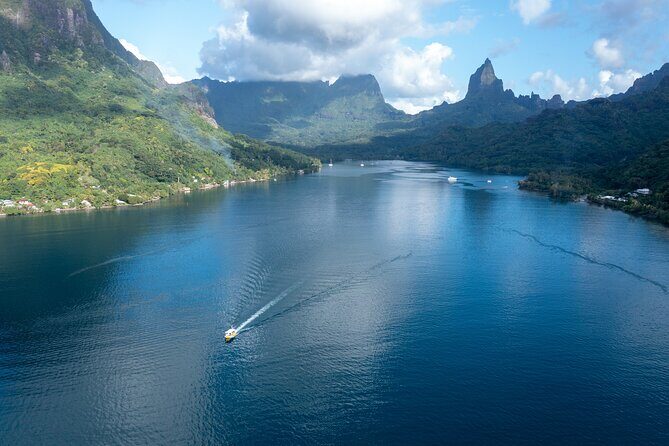 Snorkeling excursion and encounter with marine fauna in Moorea - Who This Tour Fits Best (And Who Might Want a Plan B)