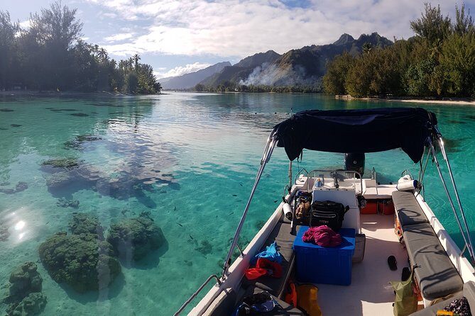 Snorkeling excursion, discovery of the lagoon, small group. - Key things I’d zero in on