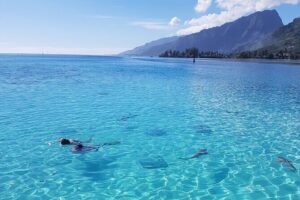 Snorkeling excursion, discovery of the lagoon, small group. - Price in context: is $118.46 worth it?