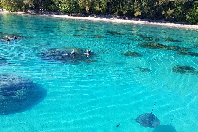 Snorkeling excursion, discovery of the lagoon, small group. - Stop-by-stop: west and north lagoon snorkeling with 4 different water scenes